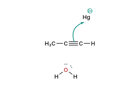 Hydration of alkynes: Water adds to propyne with a mercury catalyst, and the enol it makes turns straight into a ketone.