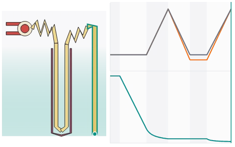 Nephron and urine formation: Follow filtrate down a labelled nephron: glomerular filtration, reabsorption and secretion by segment, the medullary gradient built by the counter-current loop and vasa recta; switch ADH and the renin-angiotensin response and see urine volume and concentration change.