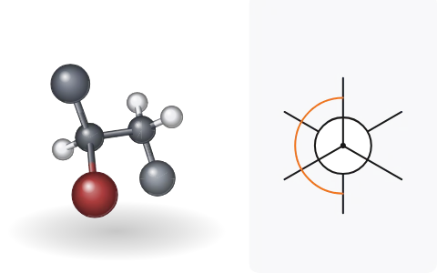Stereoisomers: Build a molecule in 3-D with its wedge-dash, sawhorse and Newman drawings, swap groups and mirror it, and tell enantiomers, diastereomers and meso forms apart.
